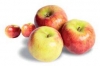 Apfel.jpg