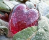 Liebe muss gehegt werden ...