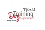 Logo Team DogTraining - Dominik Söllradl