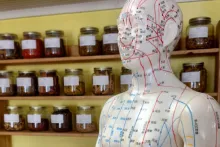 Fortbildung TCM zur individuellen Gesundheitsunterstützung