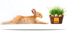 Ostern im Hofladen beim UrkornHof Kammerleithner