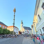 Maibaum 2025 in Vorchdorf per Hand gesetzt