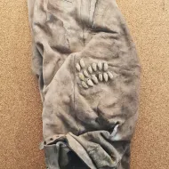 Lederhose