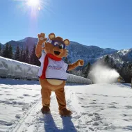 Aus dem Sommerschlaf erwacht - Bruno der Kasbär (c) Foto Kasberg