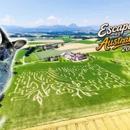 Escape to Australia - Wirt / Edt Vorchdorf Maislabyrinth