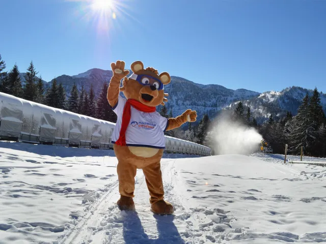 Aus dem Sommerschlaf erwacht - Bruno der Kasbär (c) Foto Kasberg